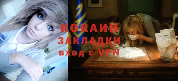шишки Нягань