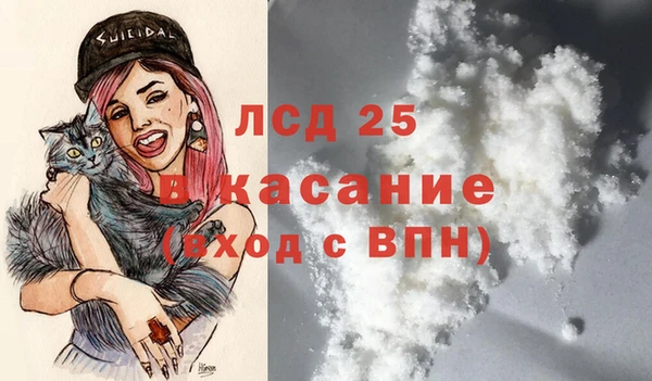шишки Нягань