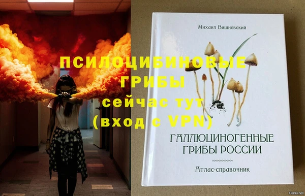 шишки Нягань