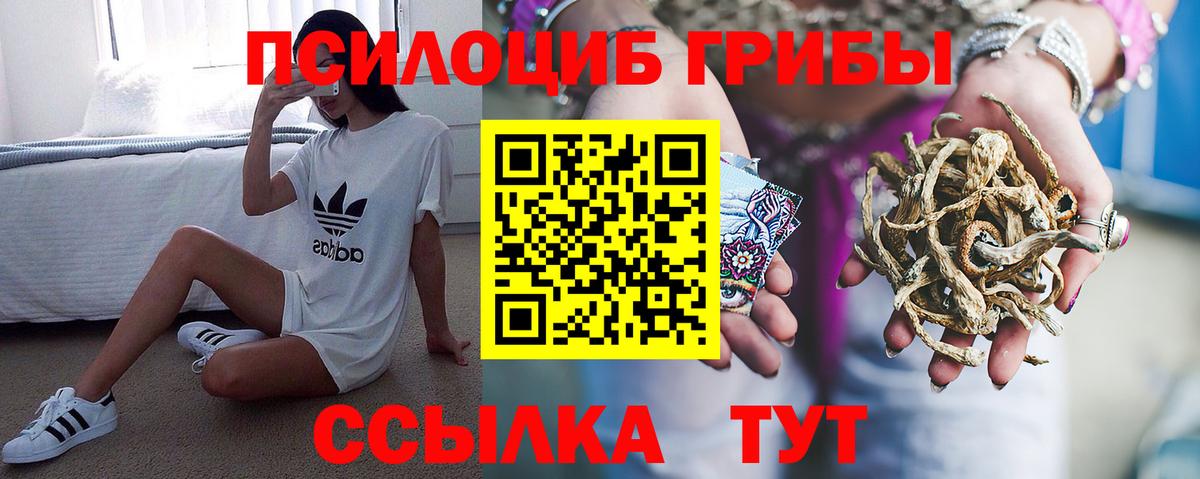 Псилоцибиновые грибы мухоморы  Вход с VPN  Карачаевск 