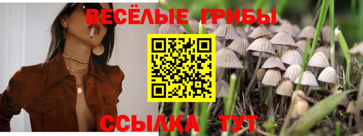  Cocaine Карачаевск